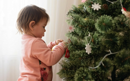 Renoncement à l'achat de cadeaux de noel